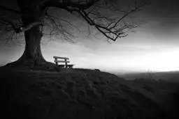 Samotna ławka pod rozłożystym drzewem na wzgórzu, zapraszająca do chwili zadumy. Solitude po polsku.