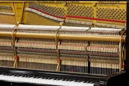 Mechanizm pianina Steinway z widocznymi młoteczkami, strunami i klawiaturą. To jest co to jest pianino.