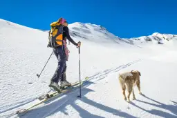 Kobieta na nartach z psem wyrusza na ski alpinizm. Słońce, śnieg i błękitne niebo tworzą idealne warunki do górskiej przygody.