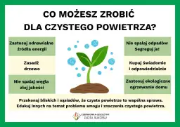 Zastosuj ekologiczne źródła energii, sadź drzewa i dbaj o czyste powietrze.