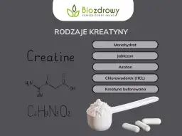 Kreatyna: Optymalna pora? Przed czy po? Klucz to regularność!