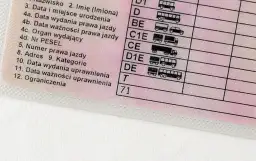 Fragment polskiego prawa jazdy z widocznymi polami: "Ograniczenia" i kodem "71", wskazującym na specyficzne **prawo jazdy ograniczenia 71**.