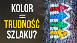 Kolorowe strzałki szlaków turystycznych namalowane na korze drzewa.