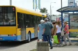 Ludzie czekają na autobus w Skierniewicach. Sprawdzają mzk rozkład jazdy, by wiedzieć, kiedy odjedzie.