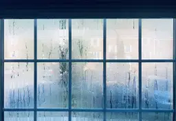 Mokre okna rano? Poznaj przyczyny i raz na zawsze rozwiąż problem!