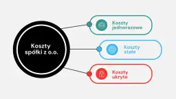 Schemat przedstawia koszty spółki z o.o.: jednorazowe, stałe i ukryte.