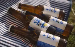 Butelki piwa bezalkoholowego POLAN leżą na kocu. Czy piwo zero ma alkohol? Nie, to piwo jest bezalkoholowe.