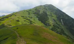 Wielki Krywań w zieleni, z krętym szlakiem i turystami.