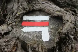 Co oznaczają kolory szlaków PTTK? Obalamy mit trudności!