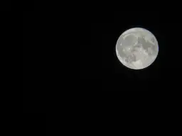 Pełnia Księżyca na czarnym tle.