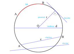 Ilustracja geometryczna z łukiem, promieniem, średnicą, cięciwą i sieczną. Obwód koła jest tu przedstawiony w kontekście tych elementów.