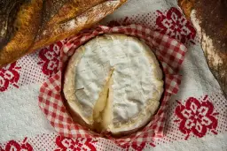 Uwaga! Nigdy nie dawaj psu sera camembert - poznaj groźne skutki uboczne