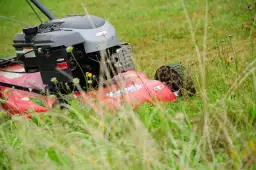 Jakie ciśnienie w kołach traktorka kosiarki? Uniknij problemów z jazdą