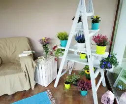 Kwietnik z drabiny: Jak krok po kroku stworzyć modną dekorację DIY?