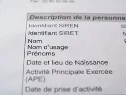 Extrait d'un document officiel listant les informations d'identification d'une personne, y compris l'identifiant SIRET, essentiel pour obtenir un numéro de SIRET gratuit.