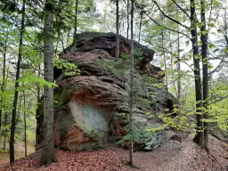 W lesie, wśród drzew, wznoszą się potężne diable skały. Ich skalne ściany pokryte są mchem i porostami, a u ich podnóża leżą opadłe liście.