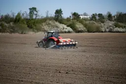 Czerwony traktor z siewnikiem precyzyjnym na polu. Rolnik dba o to, jak głęboko siać rzepak, by zapewnić mu optymalne warunki do wzrostu.