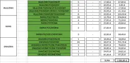 Koszt robocizny w łazience - realny cennik od fachowców 2024