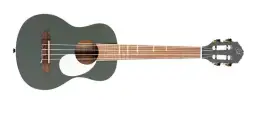 Poznaj różnice w ukulele dla leworęcznych - kompletny poradnik zakupowy