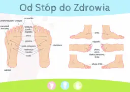 Schemat stóp z zaznaczonymi punktami odpowiedzialnymi za narządy: wątroba, nerki, nadnercza, płuca, migdałki, tarczyca.