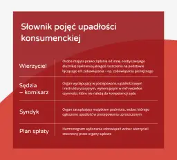 Upadłość konsumencka: Ile naprawdę zapłacisz za wolność?