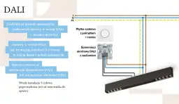 Schemat instalacji DALI z obrotowym ściemniaczem LED, płytką czołową i oprawą.