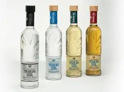 Cztery butelki tequili Tradicion Azul: blanco, reposado cristalino, reposado i añejo. Różnica między tequilą blanco, reposado a añejo w smaku i cenie jest widoczna w kolorze i etykietach.