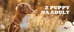 Szczeniak a karma dla dorosłych: Kiedy i jak bezpiecznie zmienić?