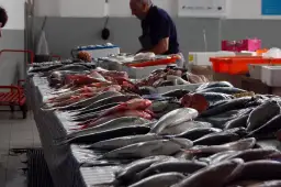 Un poissonnier prépare une vente, étal de poissons frais. La convention collective poissonnerie garantit la qualité.