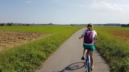 Dziewczynka na rowerze przemierza malowniczą wiślaną trasę rowerową Niepołomice, mijając pola z sianem i zielone łąki.