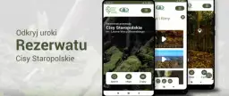 Najstarszy rezerwat przyrody w Polsce - historia i unikalne atrakcje