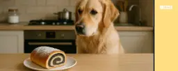 Mak dla psa: Dlaczego jest toksyczny? Objawy i ratunek!