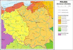 Mapa pokazuje, gdzie znajduje się Polska, jej główne rzeki i zlewiska Morza Bałtyckiego, Czarnego i Północnego.
