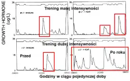 Hormon wzrostu przed czy po treningu - kiedy osiągniesz najlepsze efekty?