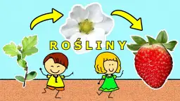 Co jest potrzebne roślinie do życia? Odkryj tajemnice w filmie edukacyjnym