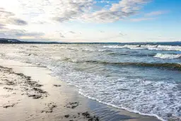 Plaża z falami i wodorostami na piasku. W oddali widać molo i linię brzegową. Idealny widok, kiedy zaczyna się sezon nad morzem.