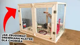Plac zabaw dla chomika DIY: Bezpieczne pomysły i instrukcje krok po kroku