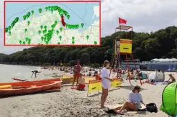 Gdzie sinice w Bałtyku? Sprawdź niebezpieczne miejsca do kąpieli