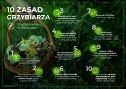 Koszyk pełen grzybów w lesie. 10 zasad grzybiarza: zbieraj dojrzałe, wykręcaj, nie niszcz, zachowaj ciszę, zabierz śmieci, korzystaj z atlasu i map.