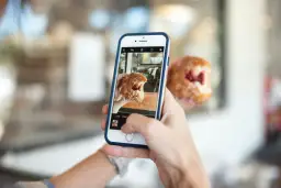 Robię zdjęcie pączka z dżemem na Instagram Stories.