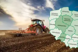 Jak oszacować wartość działki: uniknij błędów przy wycenie gruntu