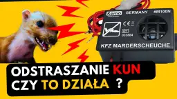 Skuteczne odstraszacze na kuny do samochodu, które uratują Twój pojazd