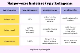 Tabela porównuje typy kolagenu: I (90%, skóra, kości, wytrzymałość), II (chrząstki, elastyczność) i III (narządy wewnętrzne, gojenie).