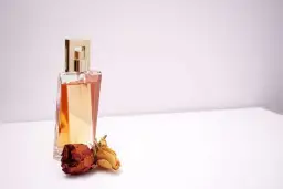 Jak rozpoznać podróbki perfum? Sprawdź kluczowe wskazówki