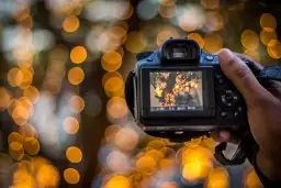 Jaki obiektyw do bokeh wybrać? Poradnik dla pięknego rozmytego tła w zdjęciach