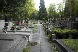 Ile kosztuje pochówek na cmentarzu komunalnym? Sprawdź ceny w Polsce