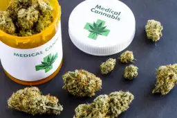 Marihuana lecznicza: zastosowanie i skuteczność w terapii
