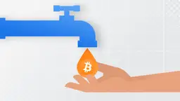 Kraniki kryptowalut - Czym są? Jak działają? Czy warto?