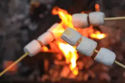 Pianki na ognisko: Które wybrać, by piec je jak mistrz?