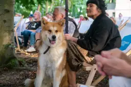 Pies rasy Akita siedzi na zewnątrz, obok kobiety. Czy pies może jeść drożdże? To pytanie nurtuje wielu właścicieli czworonogów.